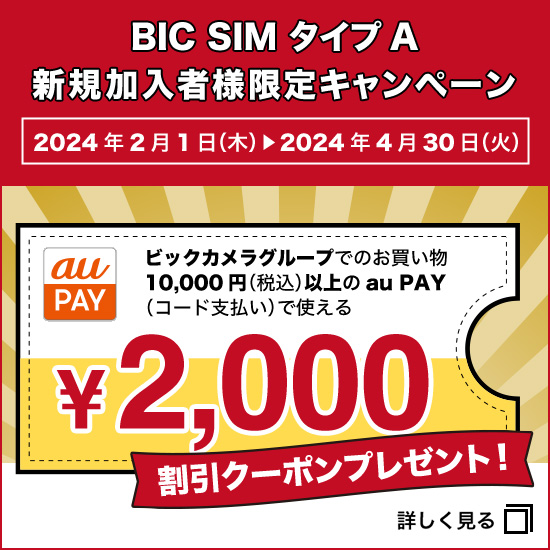 BIC SIM タイプA 新規加入者様限定キャンペーン