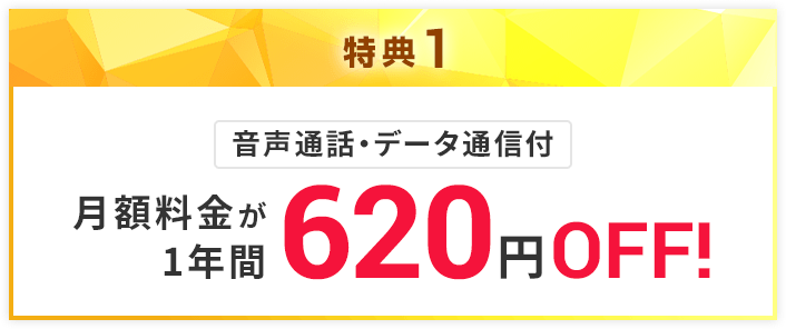 月額料金が1年間毎月620円OFF!