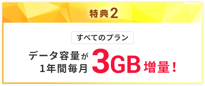 データ容量が1年間毎月3GB増量!