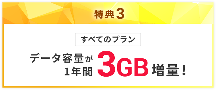 データ容量が1年間毎月3GB増量!
