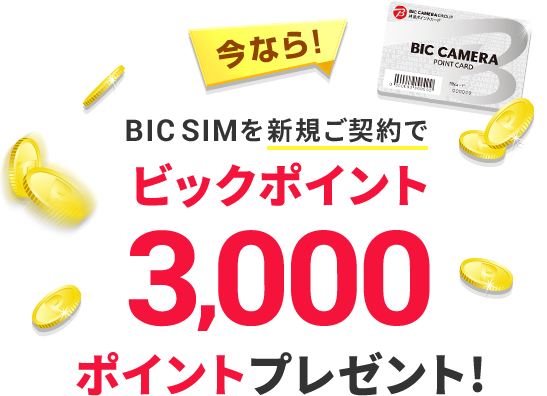 BIC SIMを新規ご契約でビックポイントを3,000ポイントプレゼント!