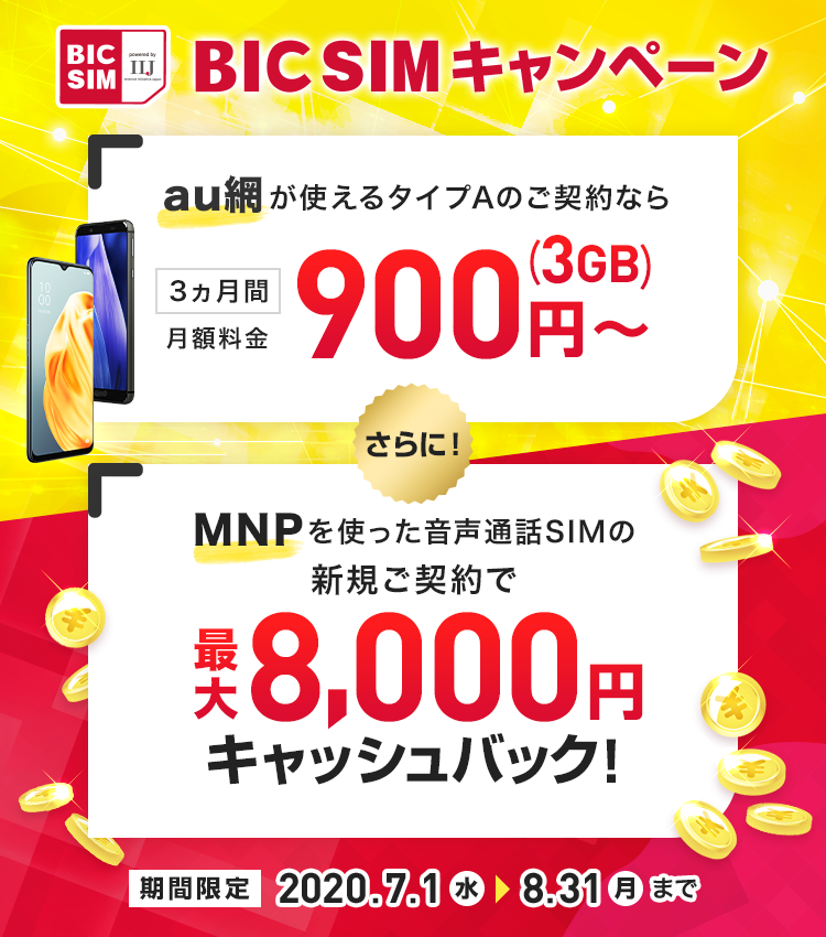 タイプAなら3ヶ月間 月額900円〜!さらに最大8,000円キャッシュバック!