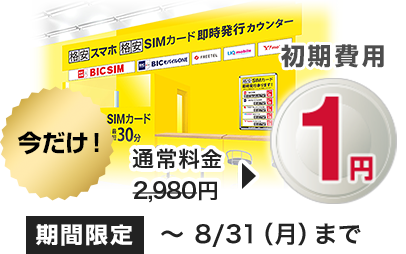 今だけ!パッケージ代2,980円が1円
