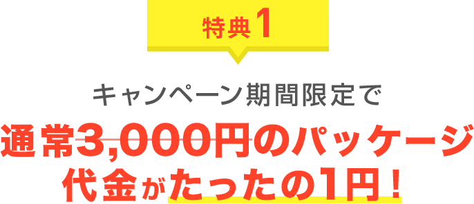 特典1 キャンペーン期間限定で通常3,000円のパッケージ代金がたったの1円!