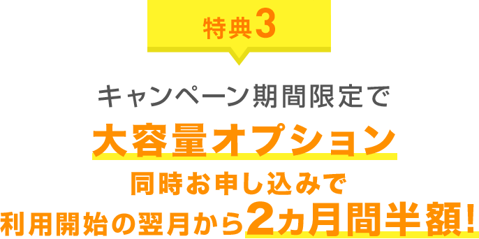 特典3 キャンペーン期間限定で大容量オプション 同時お申し込みで利用開始の翌月から2ヵ月間半額!