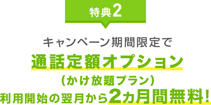 特典4 キャンペーン期間中に限りSIMカードの追加・交換・再発行(サイズ変更) 通常手数料2,000円が0円に!