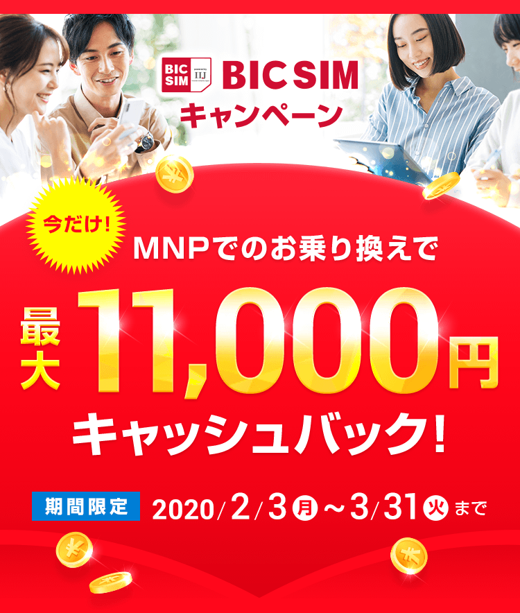 Bic Sim キャンペーン 2回: Biccamera Sim キャンペーン – EKOTG