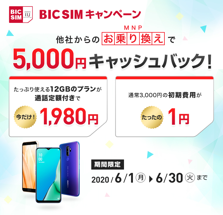 最大11,000円キャッシュバック! BICSIMキャンペーン