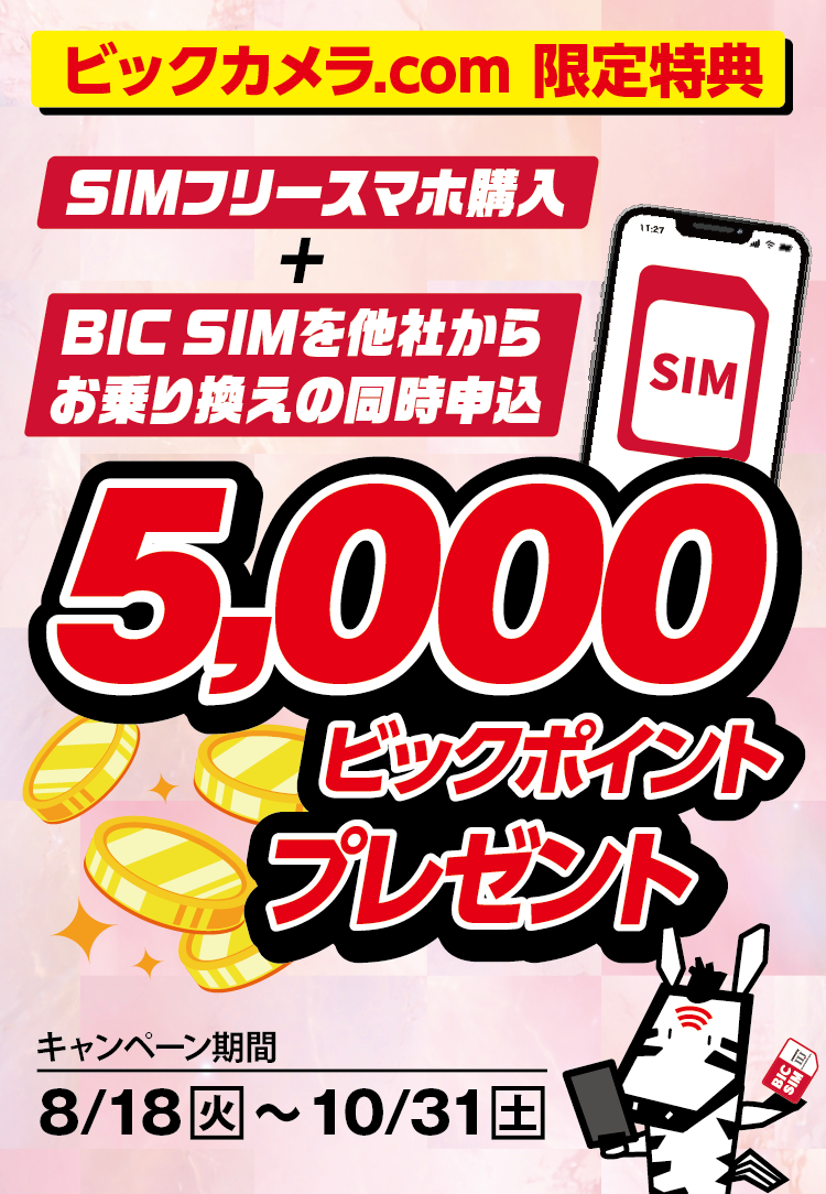 BIC SIMスマホセットキャンペーン
