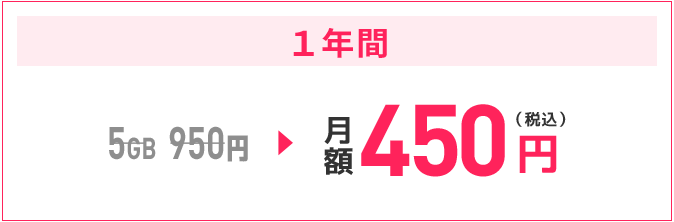 1年間、5ギガの月額料金が950円から450円（税込）に