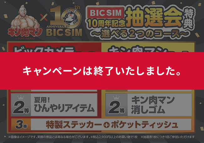 BIC SIM 10周年記念抽選会特典〜選べる2つのコース〜