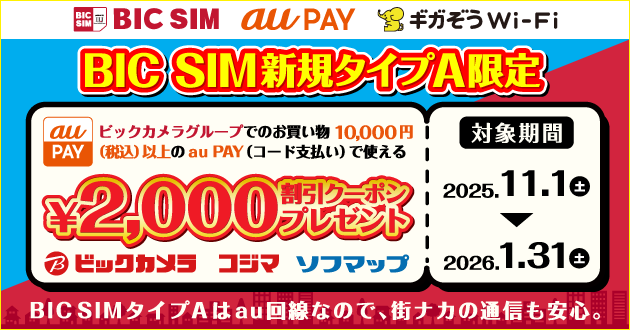 BIC SIMタイプA 新規加入者様キャンペーン