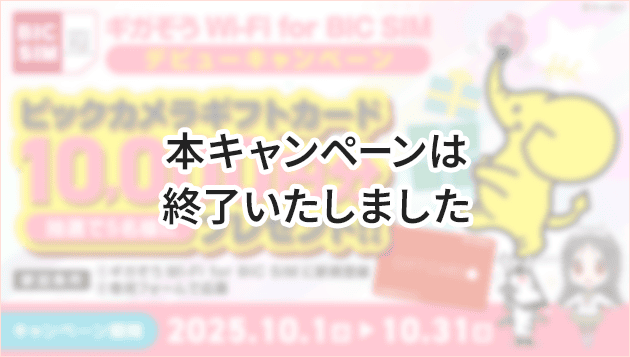 ギガぞうWi-Fi for BIC SIMデビューキャンペーン