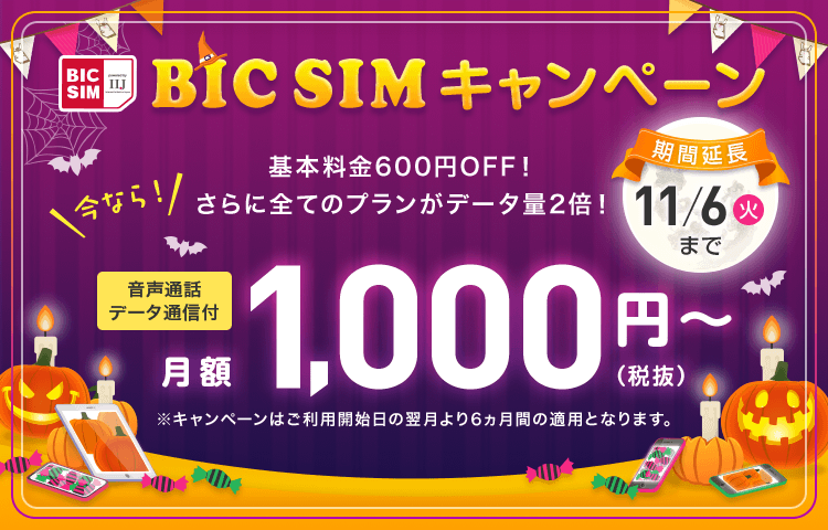 BIC SIM キャンペーン