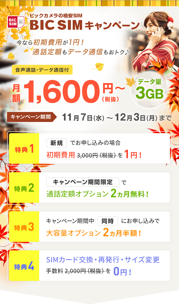 BIC SIM キャンペーン