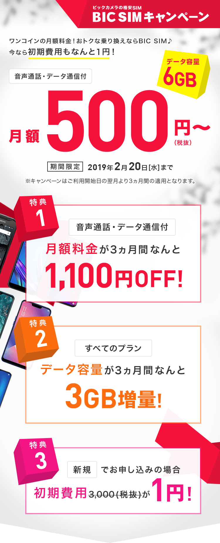BIC SIM キャンペーン