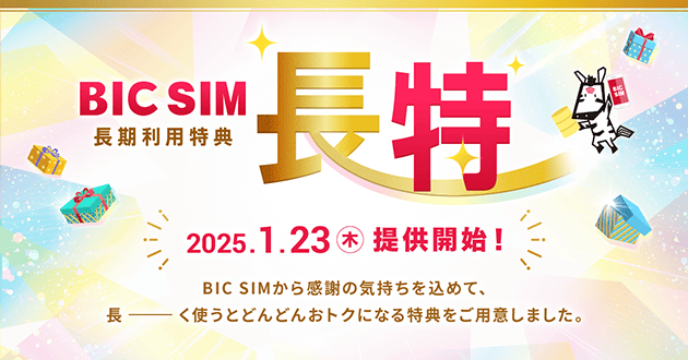 BIC SIM長特