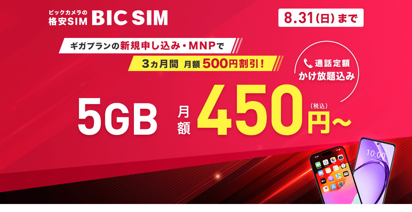 BIC SIM サマーキャンペーン(450円/5GB)