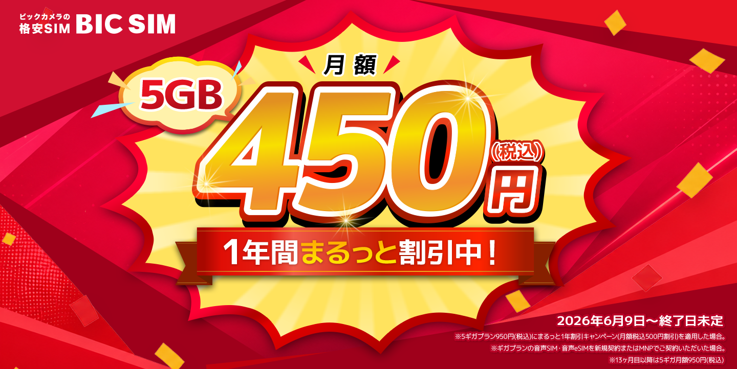 BIC SIM まるっと1年割引キャンペーン（450円/5GB)