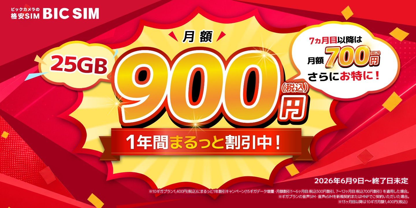 BIC SIM まるっと1年割引キャンペーン（900円/25GB)