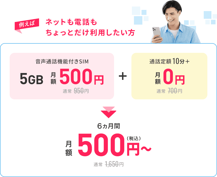 ネットも電話もちょっとだけ利用したい方