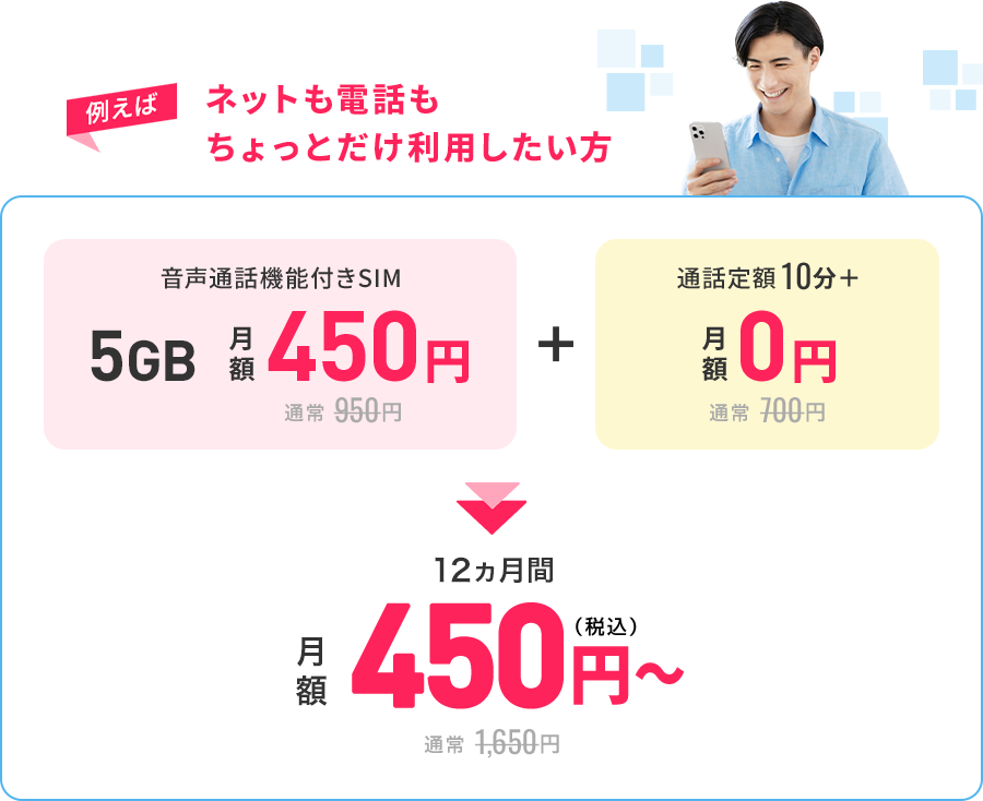ネットも電話もちょっとだけ利用したい方