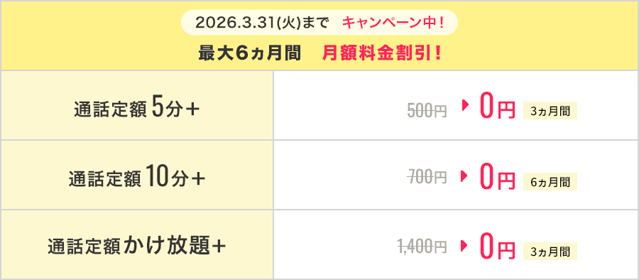 通話定額オプションの月額料金表