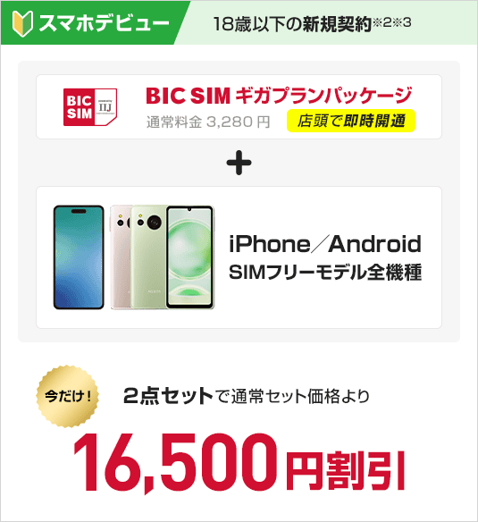 スマホデビュー　BIC SIMギガプランパッケージ　＋　iPhone/Android SIMフリーモデル全機種