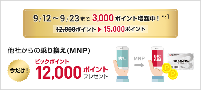ビックポイントプレゼント中！