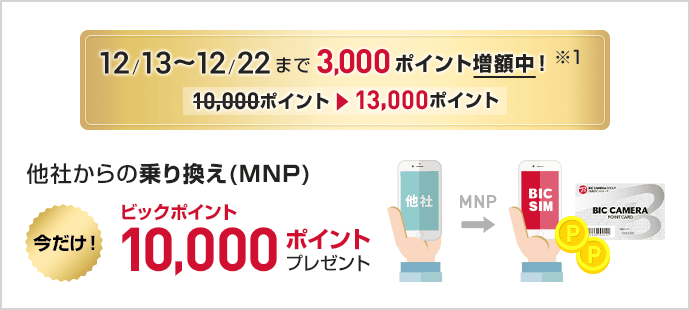 ビックポイントプレゼント中！