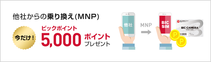 ビックポイントプレゼント中！