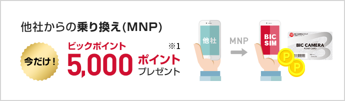 ビックポイントプレゼント中！
