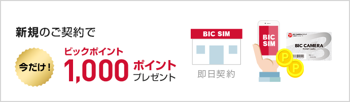ビックポイント1,000ptプレゼント!