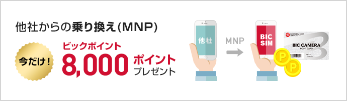 ビックポイント8,000ptプレゼント！