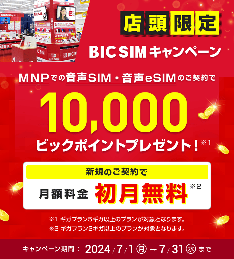【店頭申し込み限定】BIC SIMキャンペーン