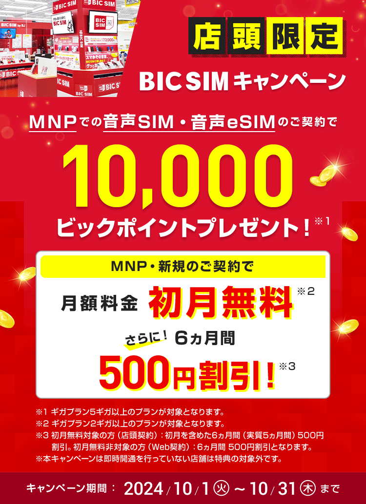 店頭申し込み限定】BIC SIMキャンペーン｜ビックカメラの格安SIM・BIC SIM（ビックシム）