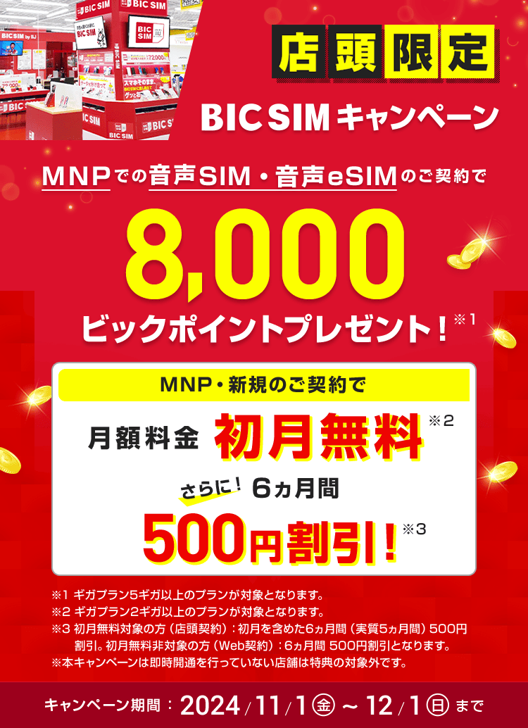 【店頭申し込み限定】BIC SIMキャンペーン