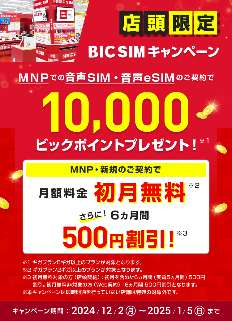 【店頭申し込み限定】BIC SIMキャンペーン