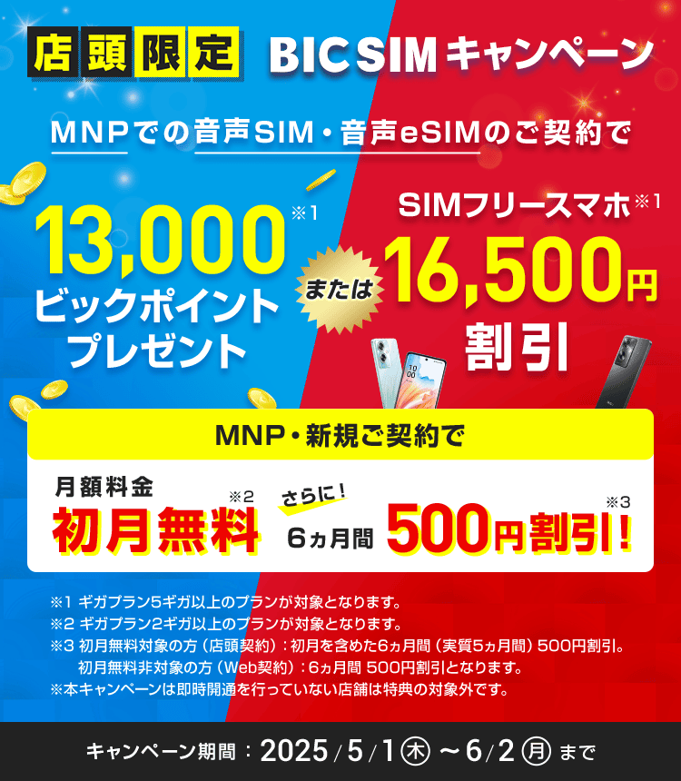 【店頭申し込み限定】BIC SIMキャンペーン