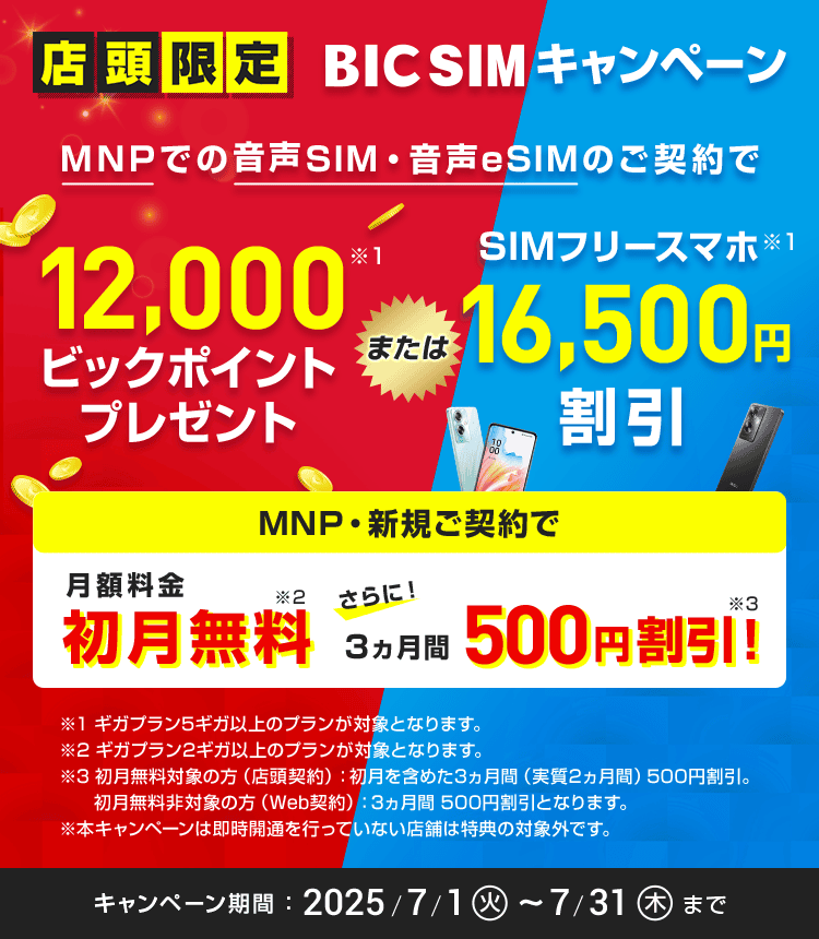 【店頭申し込み限定】BIC SIMキャンペーン