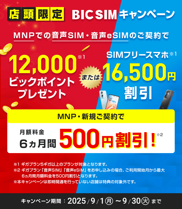 【店頭申し込み限定】BIC SIMキャンペーン