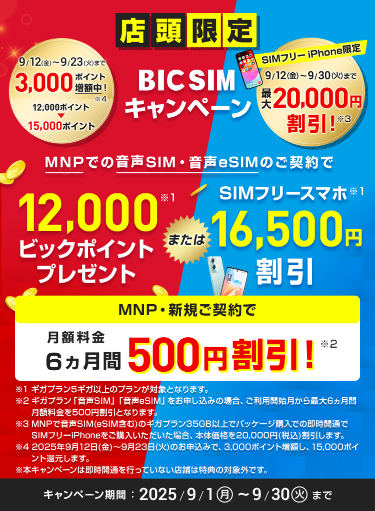 【店頭申し込み限定】BIC SIMキャンペーン
