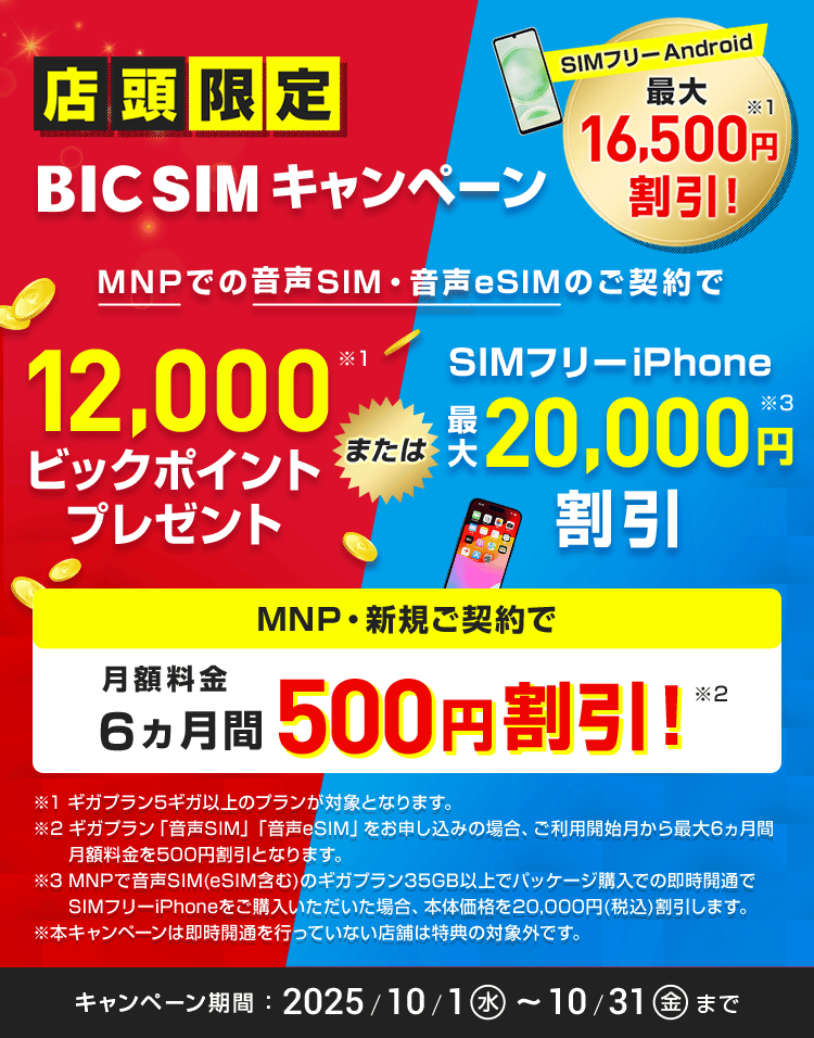 【店頭申し込み限定】BIC SIMキャンペーン