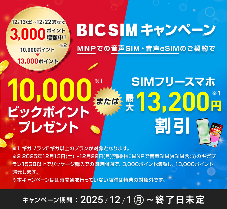 【店頭申し込み】BIC SIMキャンペーン