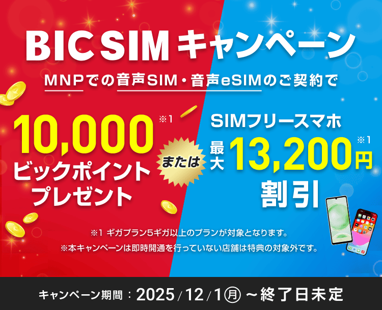 【店頭申し込み】BIC SIMキャンペーン