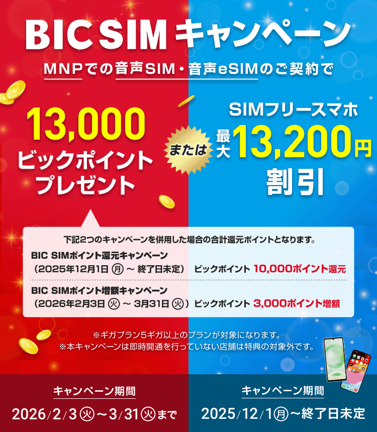 【店頭申し込み】BIC SIMキャンペーン