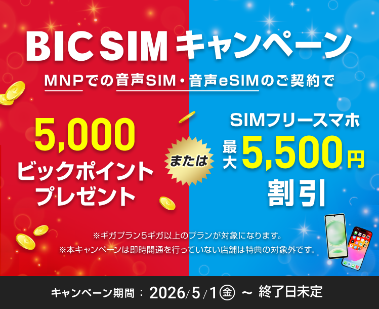 【店頭申し込み】BIC SIMキャンペーン