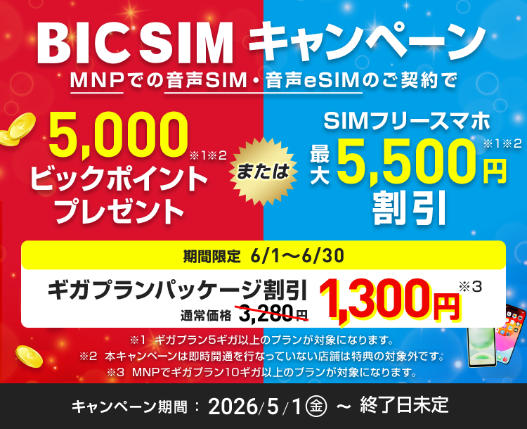 【店頭申し込み】BIC SIMキャンペーン