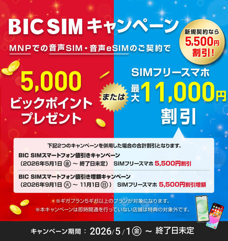 【店頭申し込み】BIC SIMキャンペーン