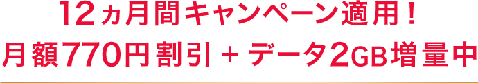12ヵ月間キャンペーン適用! 月額770円割引+データ2GB増量中